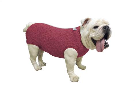 Necessaire  Bulldog Inglês - Oh My Pet