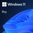 11 Professional  Windows  32/64 bits
