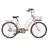 Bicicleta aro 26 Vintage Antonella Rosa Nathor