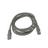 Cabo de Rede CAT5E UTP 2m Legrand