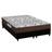 Cama Box Queen: Colchão Anatômico Ortobom D45/EP Fort Tech ISO 150 + Base CRC Suede Black(158x198)