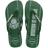 Chinelo Havaianas Masculino TOP Times Palmeiras Original