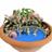 Conjunto de 6 peças Mini Fairies, decoração de jardim e exterior, Wokex