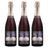 Kit 03 Unidades Espumante Miolo Terranova Moscatel 750ml