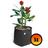 Kit 5 Vasos De Plantas De Feltro 20 Litros - King Pot