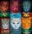 Kit 6 livros gatos guerreiros erin hunter