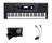 Kit Teclado Kurzweil KP100 com Microfone Regent e Luminária