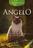 Livro - ANGELO