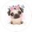 Painel Redondo 3D Sublimado Pets Pug Frd-4782