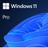 Windows 11 Pro FQC-10572 - 32/64 Bits
