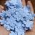 100 Mini Flor Prensada Azul Ciel