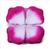 1000 Pétalas de Rosa Artificial Cores Sortidas Romântico White heart purple
