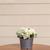3 buquês de flores artificiais mini Hortência flores para decoração de casa artesanato casamento Branco