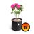 3 Vasos De Plantas De Feltro 7 Litros - King Pot Preto