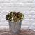 5 buquês flores mini hortênsia artificial decoração p/ casa festa de casamento jardim e escritório Verde