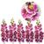 5 Hastes Orquideas Galho Artificial Arranjo Decorativo Realista (bra-2-13) Pink Mesclado