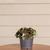 7 Mini buquê hortênsia flor artificial perfeita para festas e casamentos de decoração de casa DIY Verde