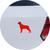 Adesivo de Carro Cachorro Rottweiler - Cor Marrom Vermelho
