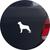 Adesivo de Carro Cachorro Rottweiler - Cor Marrom Branco