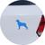 Adesivo de Carro Cachorro Rottweiler - Cor Marrom Azul Claro