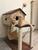 Arranhador Casa Com Rede Para Gato Brinquedo Bolinha BEGE/MARROM