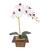 Arranjo de Orquídea de Silicone Com Vaso de Madeira Branca c/ miolo rosa