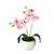 Arranjo Mini Orquídea vasinho de plástico melamina redondo Rosê