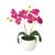Arranjo Mini Orquídea vasinho de plástico melamina redondo Pink