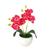 Arranjo Mini Orquídea vasinho de plástico melamina redondo Rosa escuro