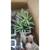 Artificiais Mini Suculentas e Mini Cactus Vaso Cerâmica Branco decoraçao de casa modelo17
