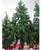 Árvore De Natal Pinheiro 1,80m C/388 Galhos Verde