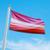 Bandeira Avulsa Orgulho LGBT Cores em Cetim Brilhante - Tamanho Grande 1,20m x 85cm Lésbica