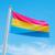 Bandeira Avulsa Orgulho LGBT Cores em Cetim Brilhante - Tamanho Grande 1,20m x 85cm Pansexual