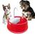 Bebedouro Fonte De Água Para Cães Gatos Bivolt Automático Furação Pet Vermelho