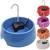 Bebedouro Fonte Gatos Cachorros Cães 1 Litro Filtro Carvão Ativado Little Mec Pet Bivolt Azul Azul