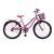Bicicleta Aro 24 Feminina Jady Cecy Menina Com Cestinha Freio V Brake Rodas Alumínio Aero Resistente Rosa