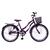 Bicicleta Aro 24 Feminina Jady Cecy Menina Com Cestinha Freio V Brake Rodas Alumínio Aero Resistente Violeta