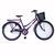 Bicicleta Aro 26 Retro Urbana Tropical Freios V Brake Rodas Alumínio Aero Reforçado Violeta