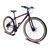 Bicicleta Aro 29 Aço Carbono 21 Velocidades Freio a Disco Preto, Rosa