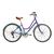 Bicicleta Blitz Vintage Retro Style Azul 6v Cambio Shimano Lilás