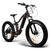 Bicicleta Elétrica 26 Gtsm1 Freio Hidráulico 7v Shimano Suspensão E-bike Argon 350w 10.4Ah Marrom