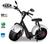 Bicicleta elétrica TUI 1000w 60 Km Autonomia  Branco