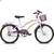 Bicicleta Juvenil Breeze Rosa Aro 20 Infantil Feminina Bike Rosa escuro