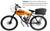 Bicicleta Motorizada Carenada Cargo Fr/Disk (kit & bike Desmont) Laranja