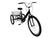 Bicicleta Triciclo Luxo Aro 26 Completo Rebaixado Preto