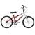 Bicicleta Ultra Bikes Aro 20 Rebaixada Bicolor Freio V Brake Vermelho, Branco