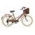 Bicicleta Vintage Retro Food Bike estilo antigo Aro 26 com 6 Marchas Marrom