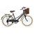 Bicicleta Vintage Retro Food Bike estilo antigo Aro 26 com 6 Marchas Preto