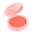 Blush BT Blush Color Hibisco