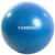 Bola Pilates Suíça Exercícios Yoga 65cm Com Bomba Yangfit  Azul